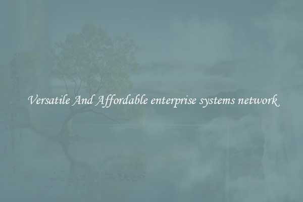 Versatile And Affordable enterprise systems network