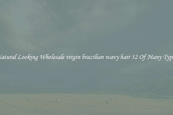 Natural Looking Wholesale virgin brazilian wavy hair 32 Of Many Types