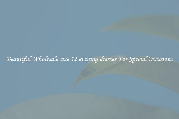 Beautiful Wholesale size 12 evening dresses For Special Occasions