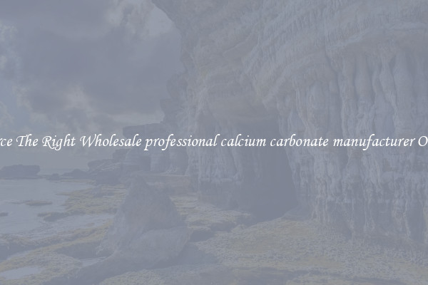 Source The Right Wholesale professional calcium carbonate manufacturer Online