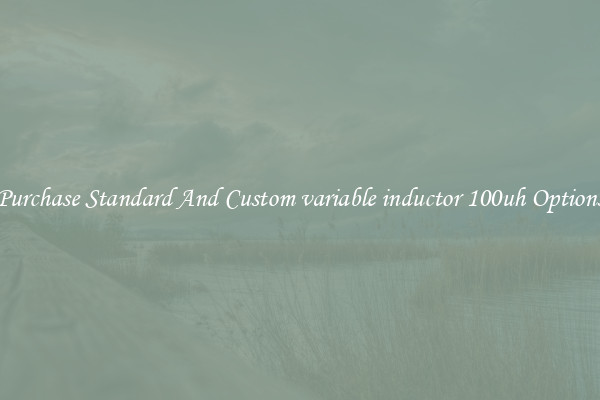 Purchase Standard And Custom variable inductor 100uh Options