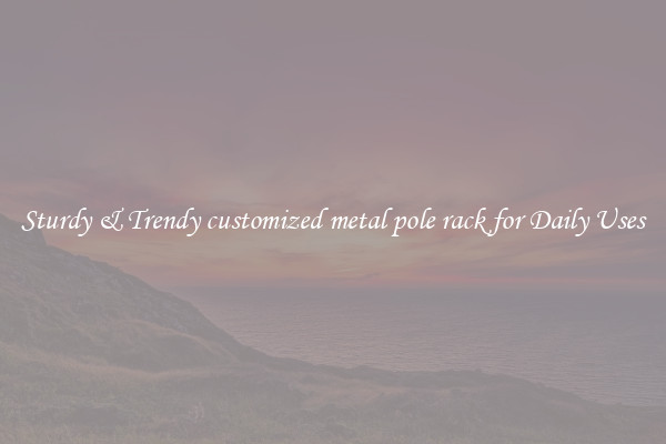 Sturdy & Trendy customized metal pole rack for Daily Uses