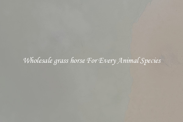 Wholesale grass horse For Every Animal Species