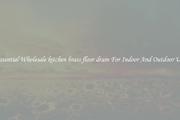 Essential Wholesale kitchen brass floor drain For Indoor And Outdoor Use