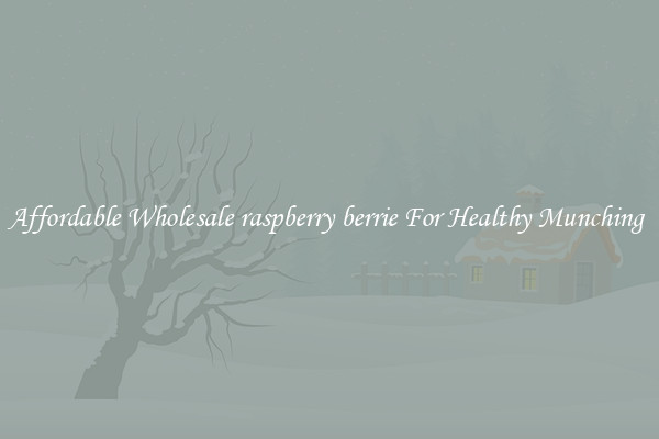Affordable Wholesale raspberry berrie For Healthy Munching 