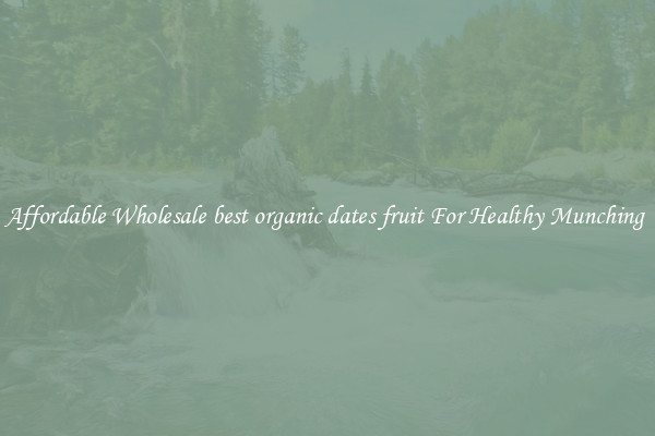 Affordable Wholesale best organic dates fruit For Healthy Munching 