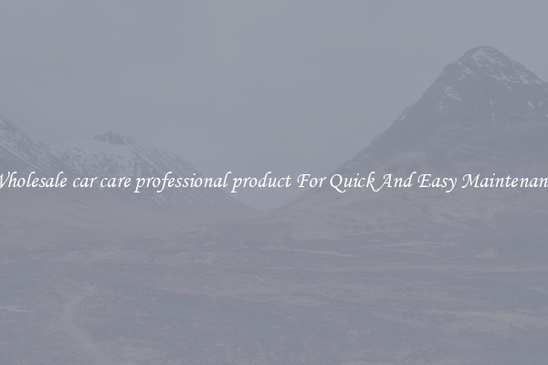 Wholesale car care professional product For Quick And Easy Maintenance