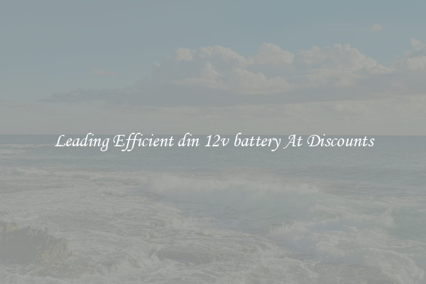 Leading Efficient din 12v battery At Discounts