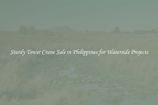 Sturdy Tower Crane Sale in Philippines for Waterside Projects