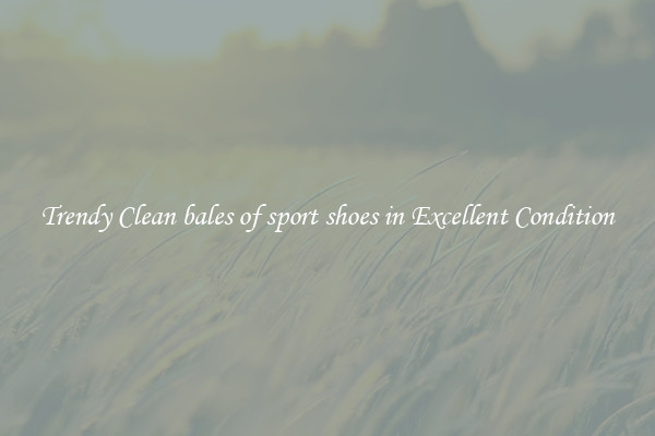 Trendy Clean bales of sport shoes in Excellent Condition