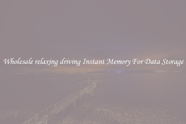 Wholesale relaxing driving Instant Memory For Data Storage