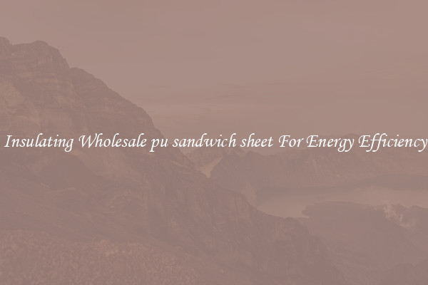 Insulating Wholesale pu sandwich sheet For Energy Efficiency