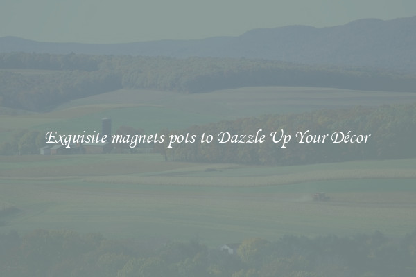 Exquisite magnets pots to Dazzle Up Your Décor 