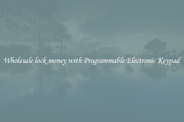 Wholesale lock money with Programmable Electronic Keypad 