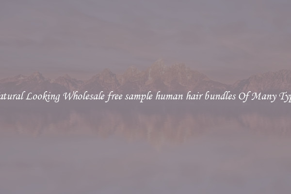 Natural Looking Wholesale free sample human hair bundles Of Many Types