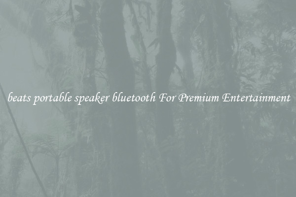 beats portable speaker bluetooth For Premium Entertainment