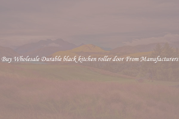 Buy Wholesale Durable black kitchen roller door From Manufacturers