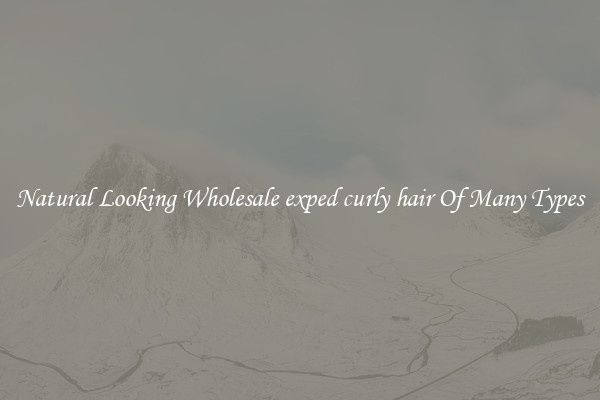 Natural Looking Wholesale exped curly hair Of Many Types