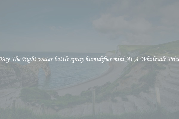 Buy The Right water bottle spray humidifier mini At A Wholesale Price